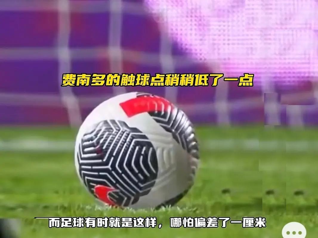 教练的临场