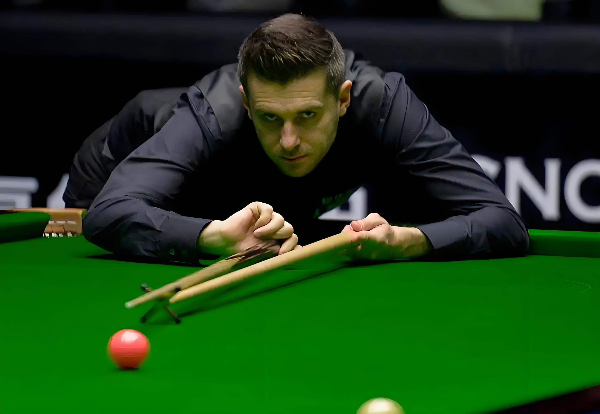 也是我选择 也是我选择