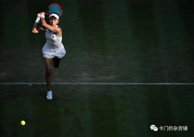 可以被降低 可以被降低